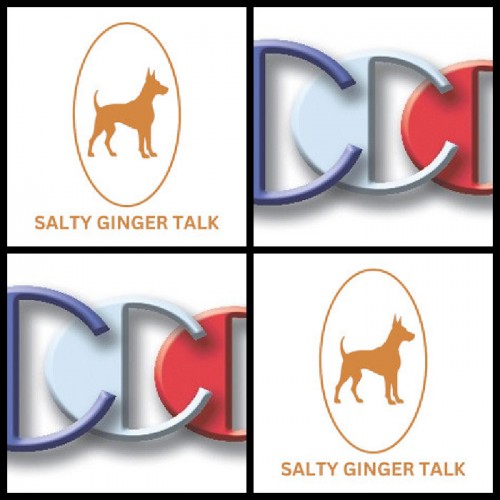 Salty-Ginger-Talk-Interview-guest-expert-Richard-Blank-Costa-Ricas-Call-Center.fb471322e45424c7.jpg